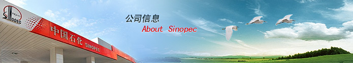 公司信息