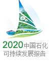 2020年可持續發展報告